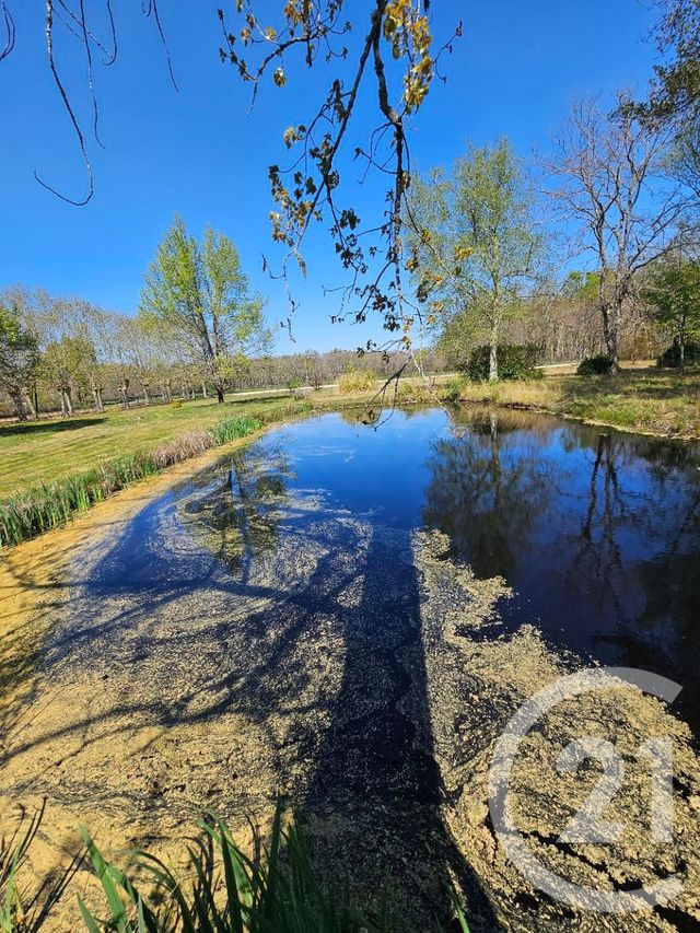 maison à vendre - 6 pièces - 135.0 m2 - BRACH - 33 - AQUITAINE - Century 21 Agence Biran