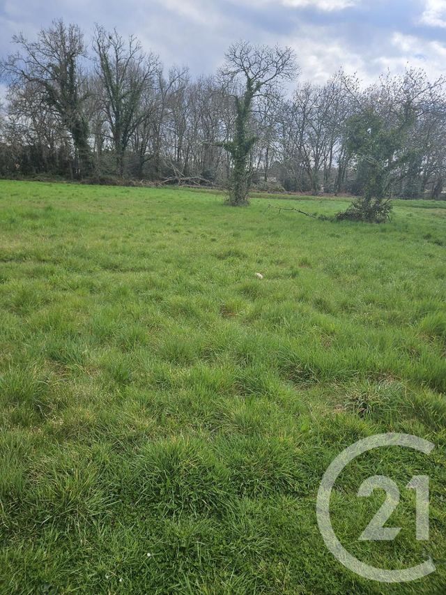 Afficher la photo en grand terrain à vendre - 536.0 m2 - BRACH - 33 - AQUITAINE - Century 21 Agence Biran