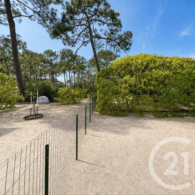 maison à vendre - 8 pièces - 120.0 m2 - LACANAU - 33 - AQUITAINE - Century 21 Agence Biran